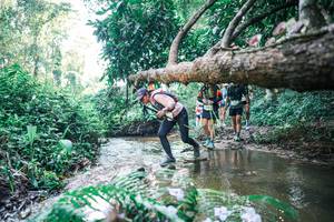 BIB: 
                            <button type="button" onclick="openModal(25445337)" class="btn btn-primary btn-sm float-right btn-popup" data-toggle="modal" data-target=".modal-high-quality">
                        <i class="fas fa-shopping-cart"></i> Add to Cart
                    </button>
                                            <button type="button" onclick="isThisMe(25445337, true)" class="btn btn-success btn-sm float-right btn-popup btn-isme hidden" data-toggle="tooltip" data-placement="bottom" title="นี่คือรูปของคุณใช่ไหม คลิกที่นี่เพื่อเอาเข้าอัลบั้ม">
                        <i class="fas fa-plus"></i> Add to album
                    </button>
                    <button type="button" onclick="isThisMe(25445337, false)" class="btn btn-warning btn-sm float-right btn-popup btn-isnotme hidden">
                        <i class="fas fa-ban"></i> Remove from album
                    </button>